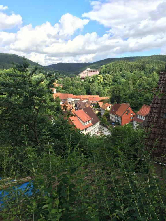 Ferienwohnung Zur Alten Post Bad Grund Zewnętrze zdjęcie