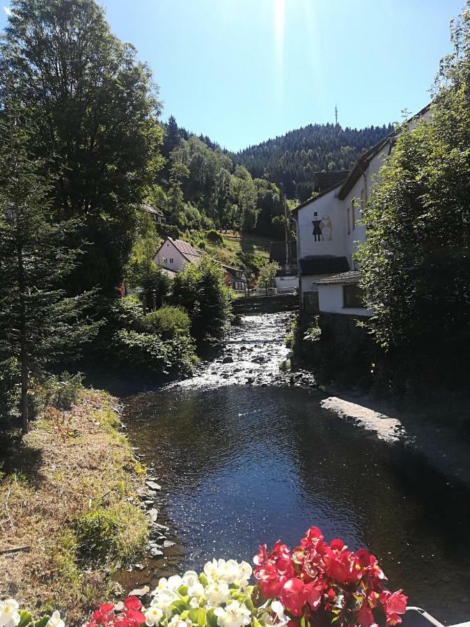 Ferienwohnung Zur Alten Post Bad Grund Zewnętrze zdjęcie