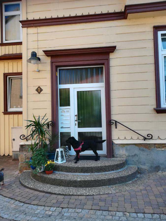 Ferienwohnung Zur Alten Post Bad Grund Zewnętrze zdjęcie